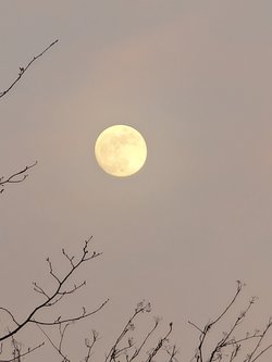 PXL_20250411_181433716.jpg