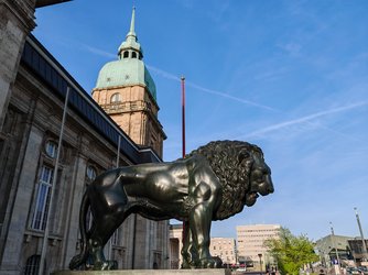 IMG_20250411_185208.jpg
