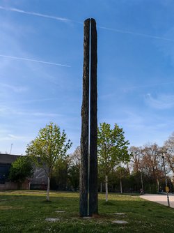 IMG_20250411_190944.jpg