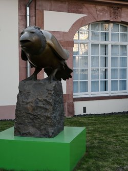 IMG_20250411_184717.jpg