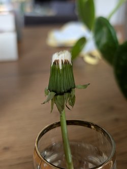 1000050461.jpg