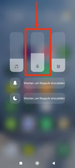 1000011039.jpg