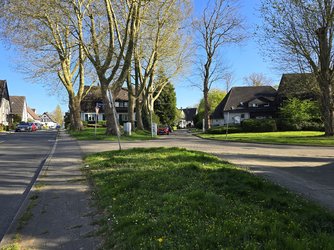 20250412_180206.jpg