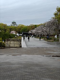 1000015920.jpg