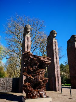 IMG_20250404_161013.jpg