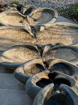IMG_20250404_180445.jpg