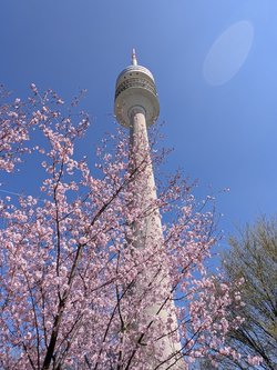 PXL_20250411_110753550.jpg