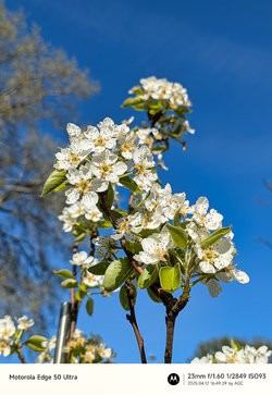 Gcam20250412_164939721.jpg