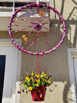 IMG_20250412_114651.jpg