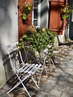 IMG_20250412_115046.jpg