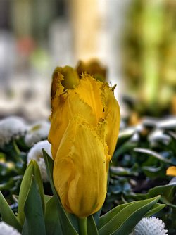IMG_20250412_171938.jpg