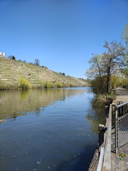 IMG_20250411_132644893_HDR.jpg