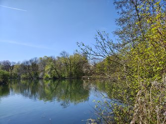 IMG_20250411_132918998_HDR.jpg