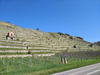 IMG_20250411_135010381_HDR.jpg