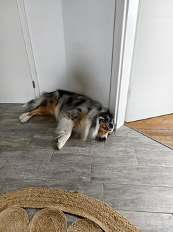 Vivo_IMG_20250413_102352.jpg