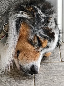 Vivo_IMG_20250413_102410.jpg