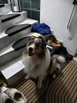 Vivo_IMG_20250413_232307.jpg