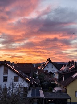 IMG_20250405_201344.jpg
