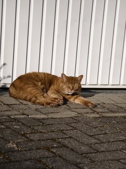 IMG_20250408_175900.jpg
