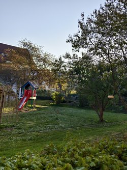 IMG_20250411_074637.jpg