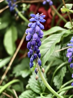 IMG_20250412_173657.jpg