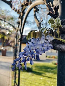 IMG_20250413_183602.jpg