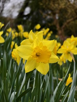 IMG_20250330_140817.jpg