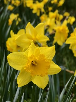 IMG_20250330_140827.jpg