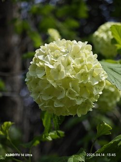 IMG_20250414_134502.jpg