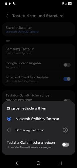 Screenshot_20250414_151457_Settings.jpg