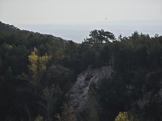 IMG_20250413_082634.jpg