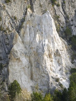 IMG_20250413_084141-Verbessert-RR.jpg