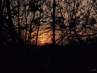 20250414_201654.jpg