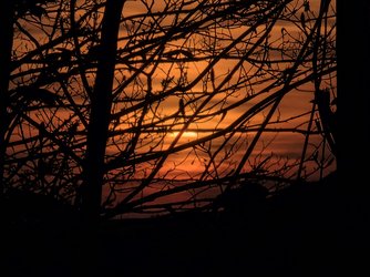 20250414_201658.jpg