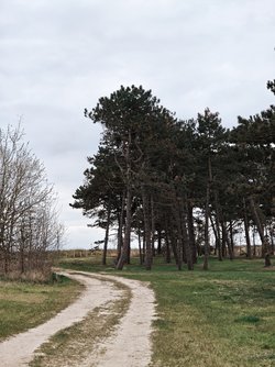 IMG_20250413_202550.jpg