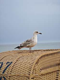 IMG_20250413_163100.jpg
