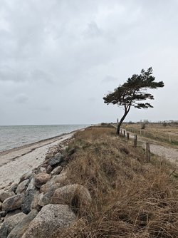 IMG_20250413_155048.jpg