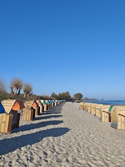 IMG_20250412_175848.jpg