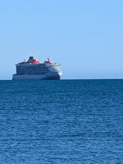 PXL_20250324_163443010.jpg