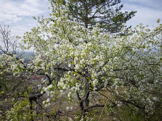 IMG_20250413_091930-Verbessert-RR_upscayl_2x_upscayl.jpg