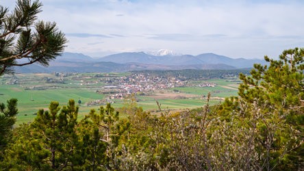 IMG_20250413_083902-MainCam_Topaz_Denoise_Sharpen_2x_Crop.jpg