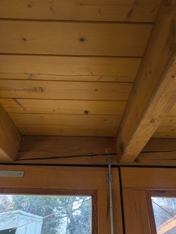 PXL_20250415_161749148.jpg