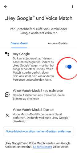 Screenshot_20250415_201005_Google.png