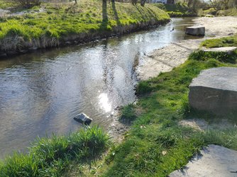 IMG20250412164421.jpg