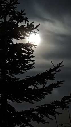 Mond 1.jpg