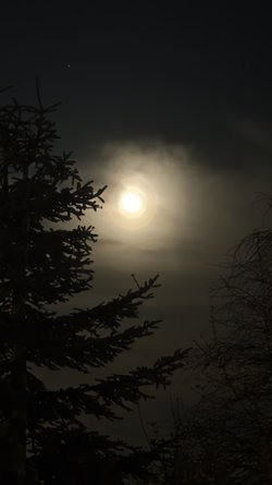 Mond 2.jpg