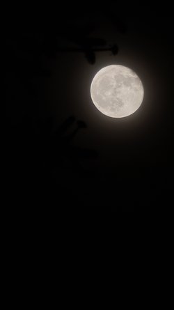 Mond 3.jpg
