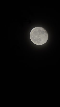 Mond 4.jpg