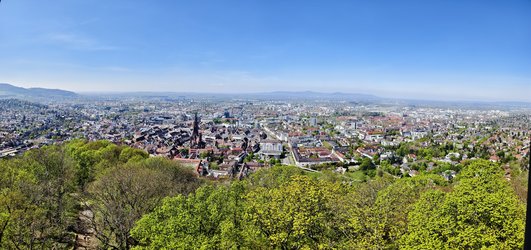2.IMG_20250410_133532_PANORAMA.jpg