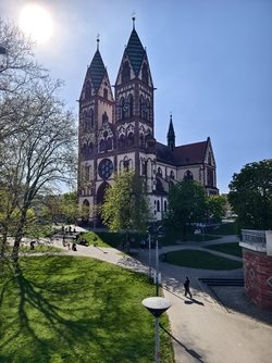 IMG_20250410_161757.jpg